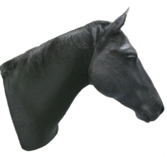 Koňsk&yacute; krk pro venepunkčn&iacute; a intramuskul&aacute;rn&iacute; injekt&aacute;ž-1